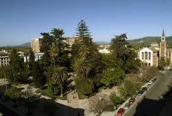 Sede 