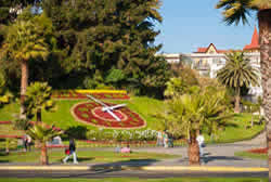 Sede 